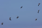714IMG_2569