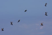 714IMG_2570