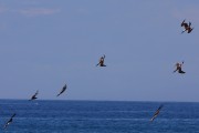 714IMG_2572
