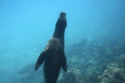 718IMG_2828