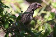 815IMG_3052