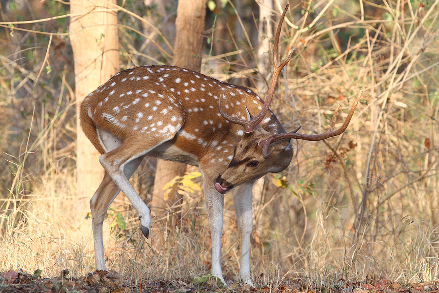 140IMG_5152
