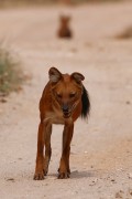 215IMG_6625