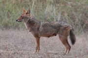 220IMG_6445