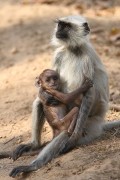 225IMG_5941