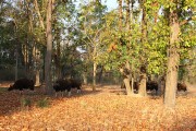 230IMG_2218