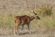 235IMG_1821