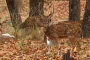 235IMG_2104