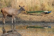 240IMG_6310