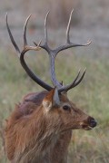 240IMG_6853