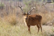 240IMG_7208