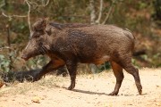 245IMG_6556