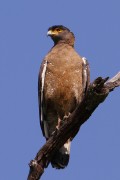 255IMG_7467