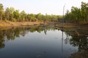 285IMG_1911