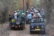 291IMG_1918