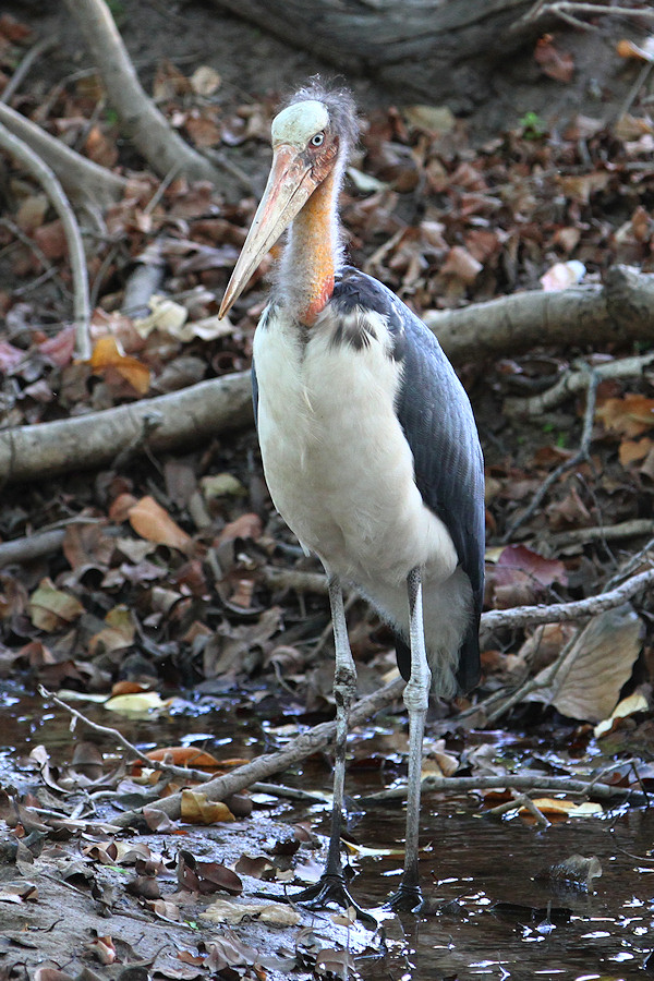 350IMG_7718