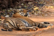 316IMG_8932