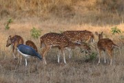 330IMG_9268