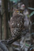 340IMG_8760