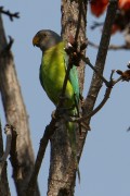 355IMG_8207