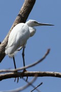 375IMG_8650
