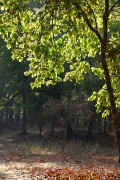 390IMG_2357