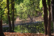 390IMG_2358