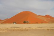 0IMG_8593