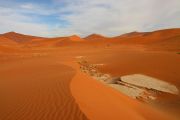 0IMG_8629