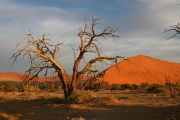 0IMG_8735