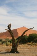 0IMG_8983
