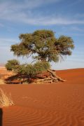 0IMG_9240