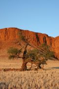 0IMG_9436