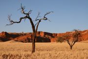 0IMG_9478