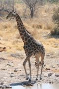 IMG_1670
