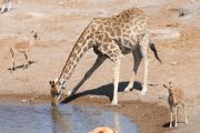 IMG_1966