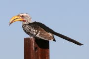IMG_2889