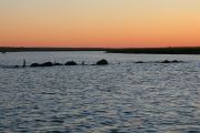 IMG_5344