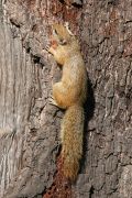 IMG_7056