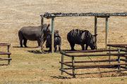 122IMG_6671