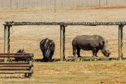 122IMG_6677