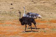 122IMG_6699