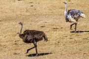 122IMG_6706