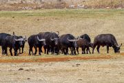 122IMG_6709