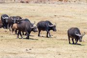 122IMG_6725