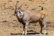 123IMG_6719