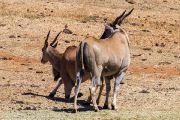 123IMG_6733