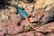 124IMG_6735