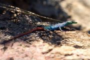 124IMG_6745