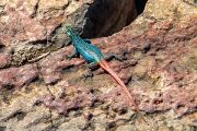 124IMG_9629